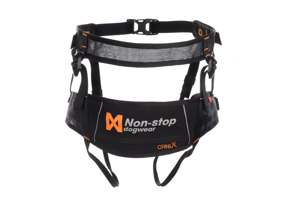 Non-stop dogwear Laufgurt CaniX Belt Rückansicht