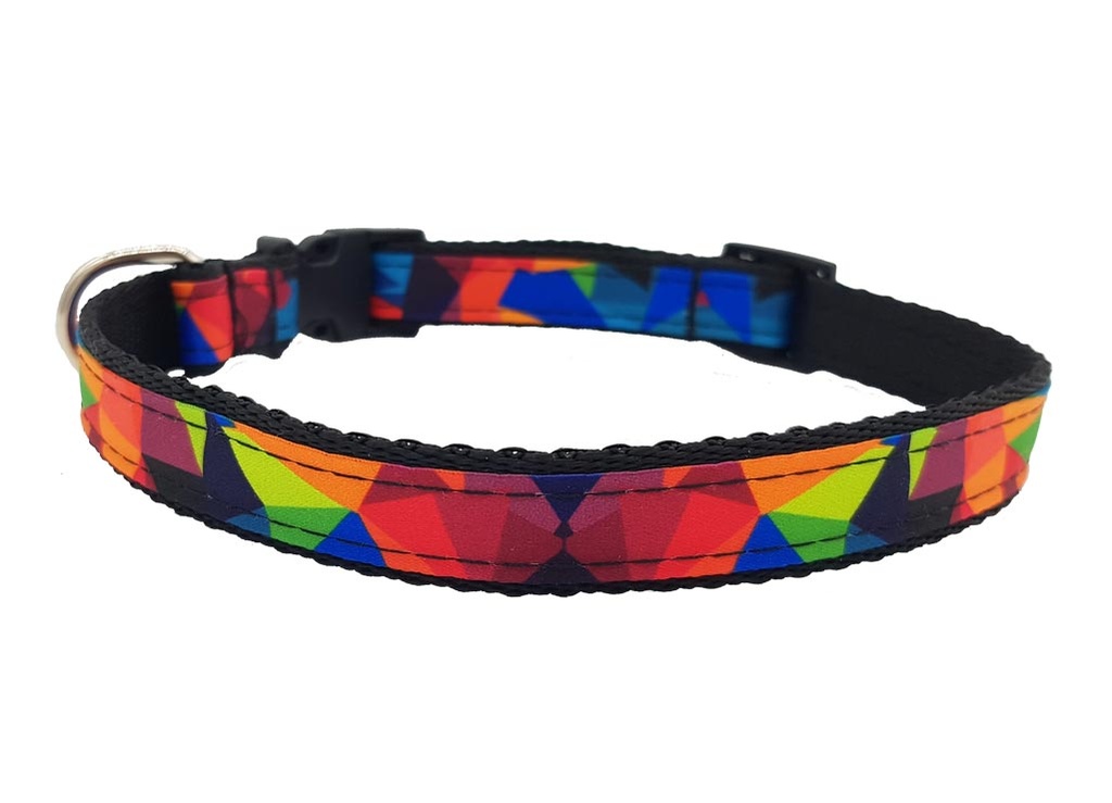 Halsband Multicolor, buntes Hundehalsband, blau, grün, orange, gelb