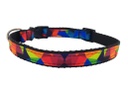 Halsband Multicolor, buntes Hundehalsband, blau, grün, orange, gelb