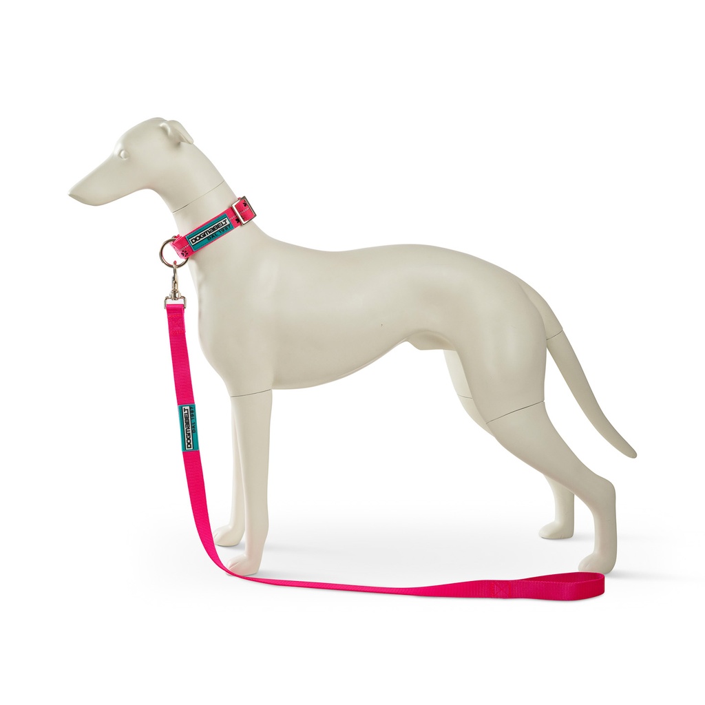 Dogmabelt Trainingsleine